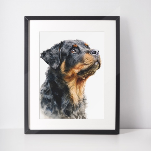 Rottweiler Watercolor Pet Portrait - Dog Wall Art Poster Unframed - Picture 3 of 5